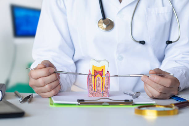 Best Broken or Cracked Tooth Emergency Dentist in New Albany, IN